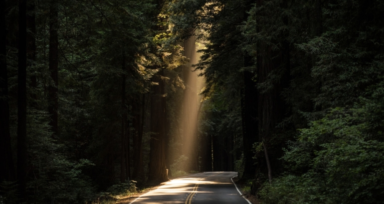 „Systeme die krank machen“